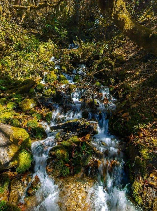 逃出平静乡村